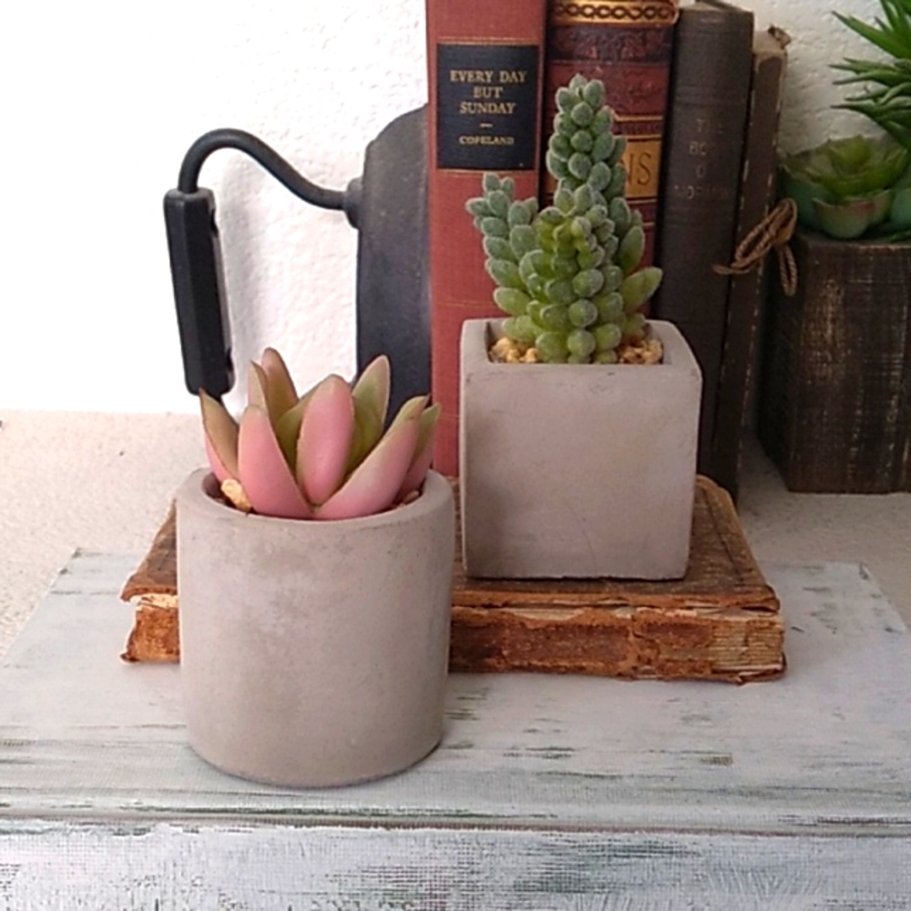 2 Small Fake Succulent Cactus potted plants